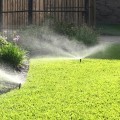 Do Landscape Service Companies in Harris County, Texas Offer Emergency Services?