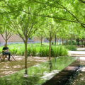 Exploring Landscape Projects in Harris County, Texas