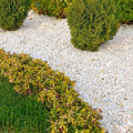 Eco-Friendly Landscaping Solutions in Harris County, Texas