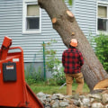 Do Landscape Service Companies in Harris County, Texas Offer Tree Trimming and Removal Services?