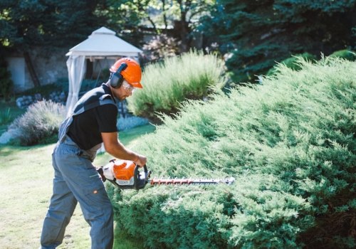 Understanding the Regulations and Restrictions for Landscape Services in Harris County, Texas