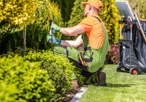 Do I Need to Provide Any Equipment or Tools for Landscaping Services in Harris County, Texas?