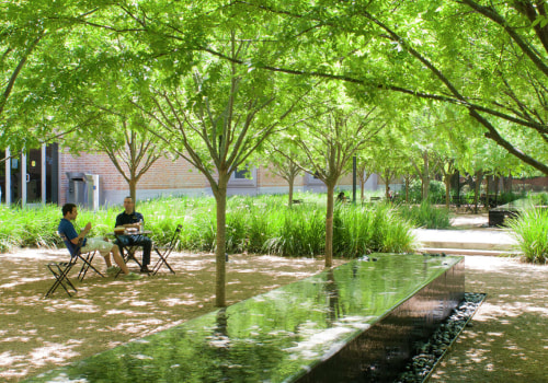 Exploring Landscape Projects in Harris County, Texas