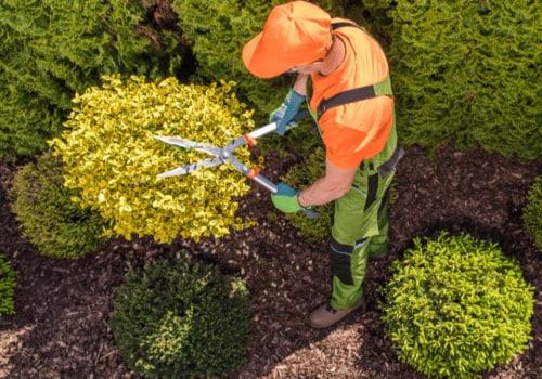 Resolving Landscape Services Issues in Harris County, Texas