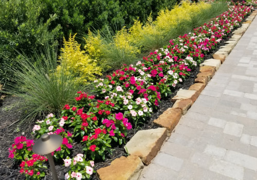 Hiring Landscape Services in Harris County, Texas: A Comprehensive Guide